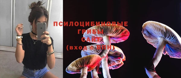 круглые Зеленокумск