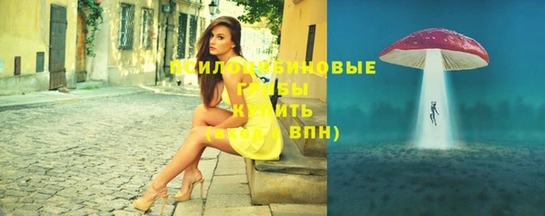 ешки Зерноград