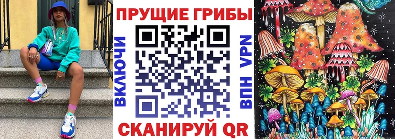 Галлюциногенные грибы Psilocybe  Купить закладки  Киселёвск 