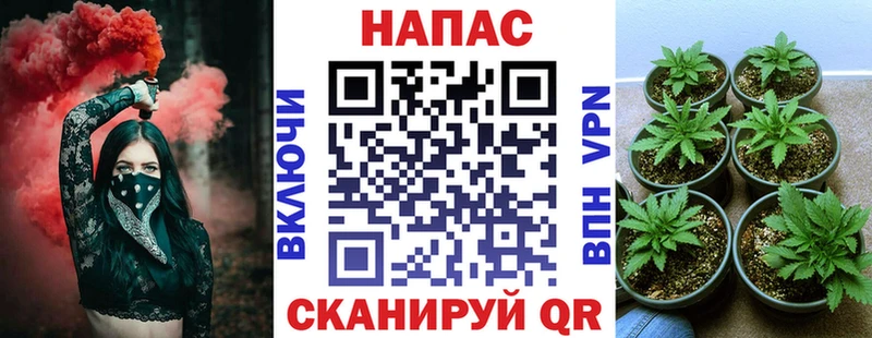 Канабис семена  Купить закладки  Киселёвск 